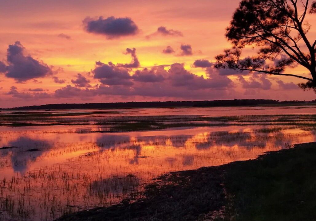 Photo of Others in Saint Helena Island