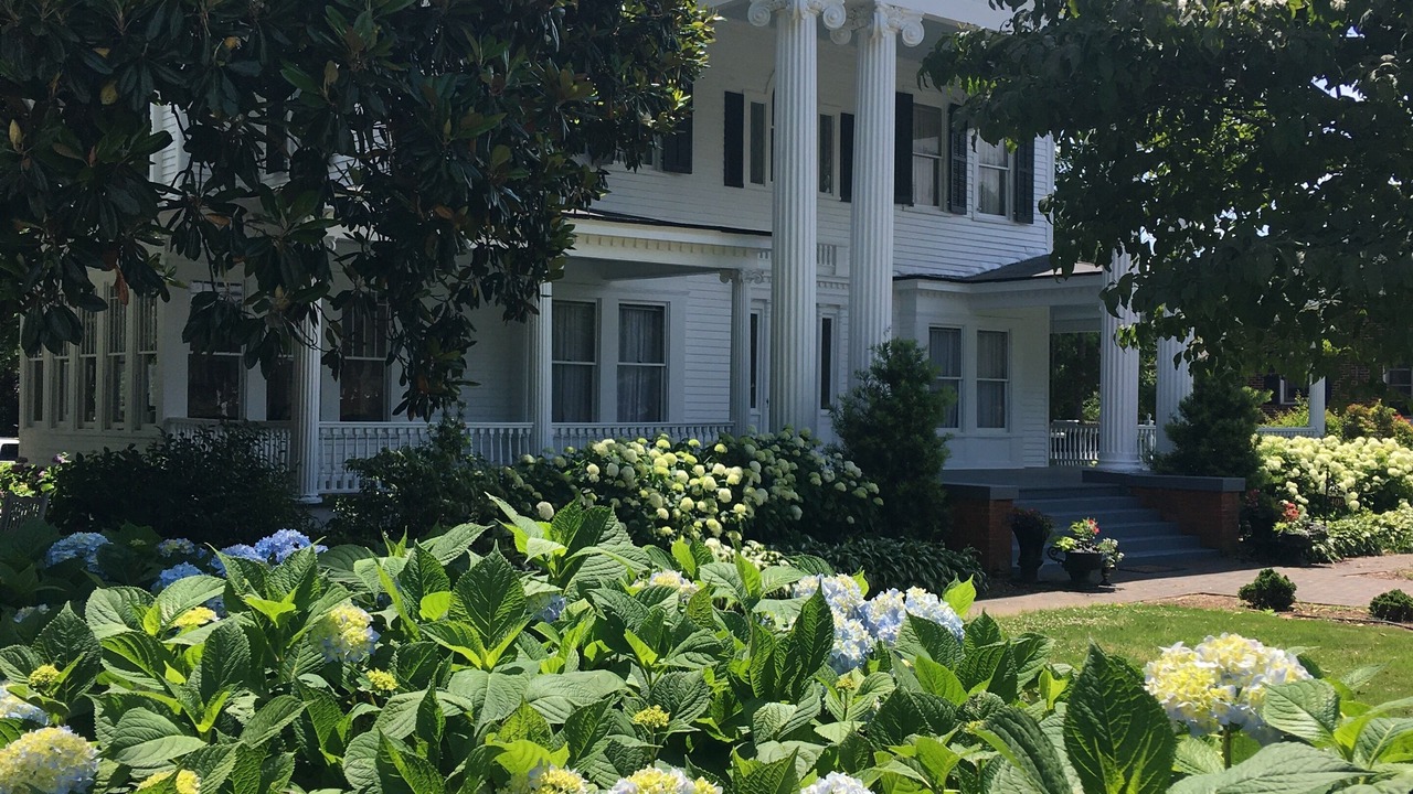 Photo of Outdoor in Walhalla