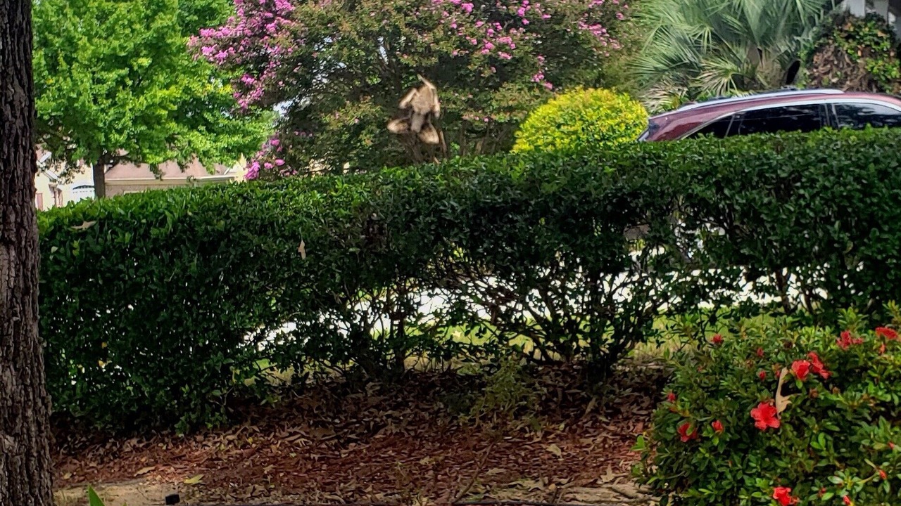 Photo of Outdoor in Martinez