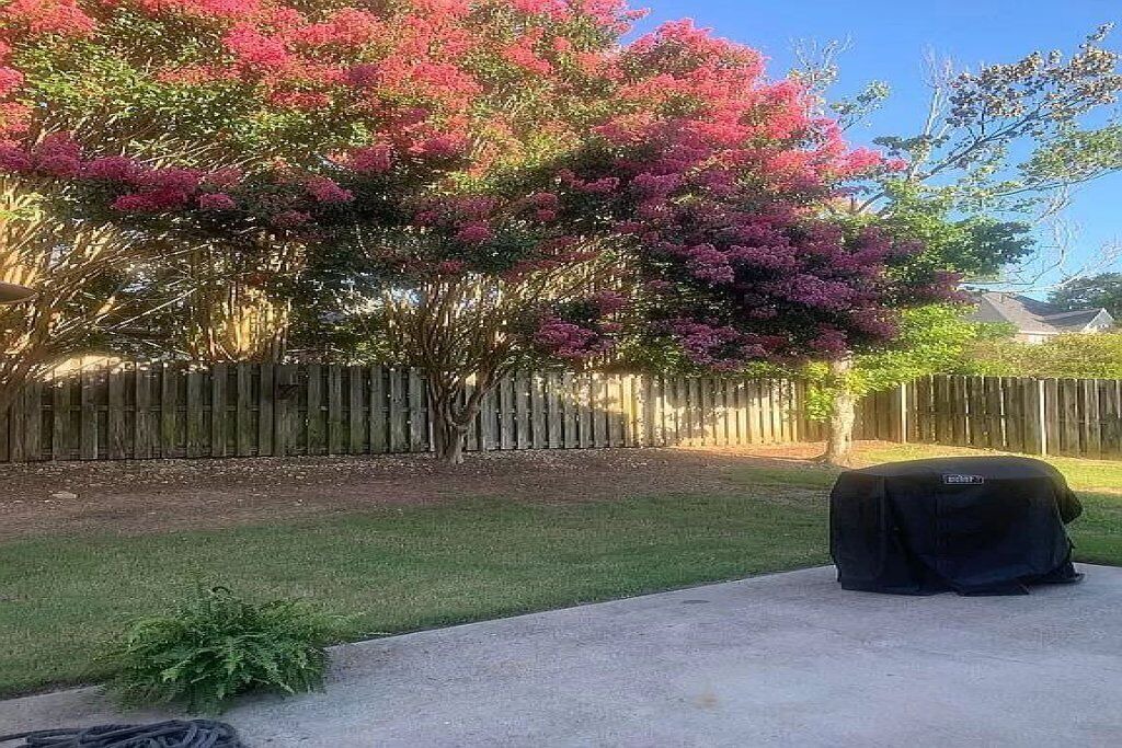 Photo of Outdoor in Martinez