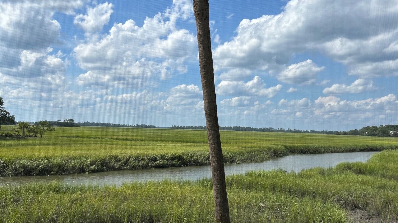 Photo of Others in Saint Helena Island