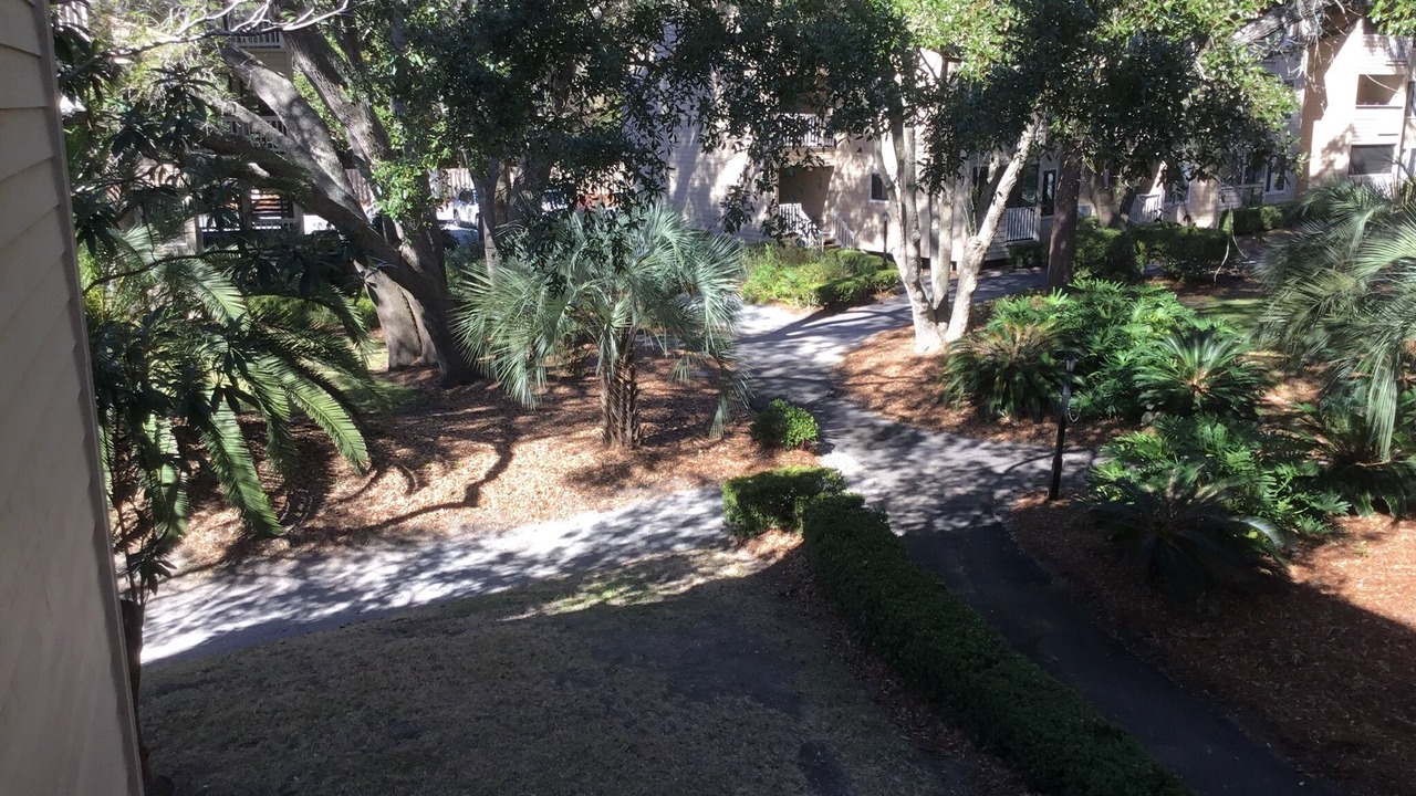 Photo of Outdoor in Palmetto Dunes