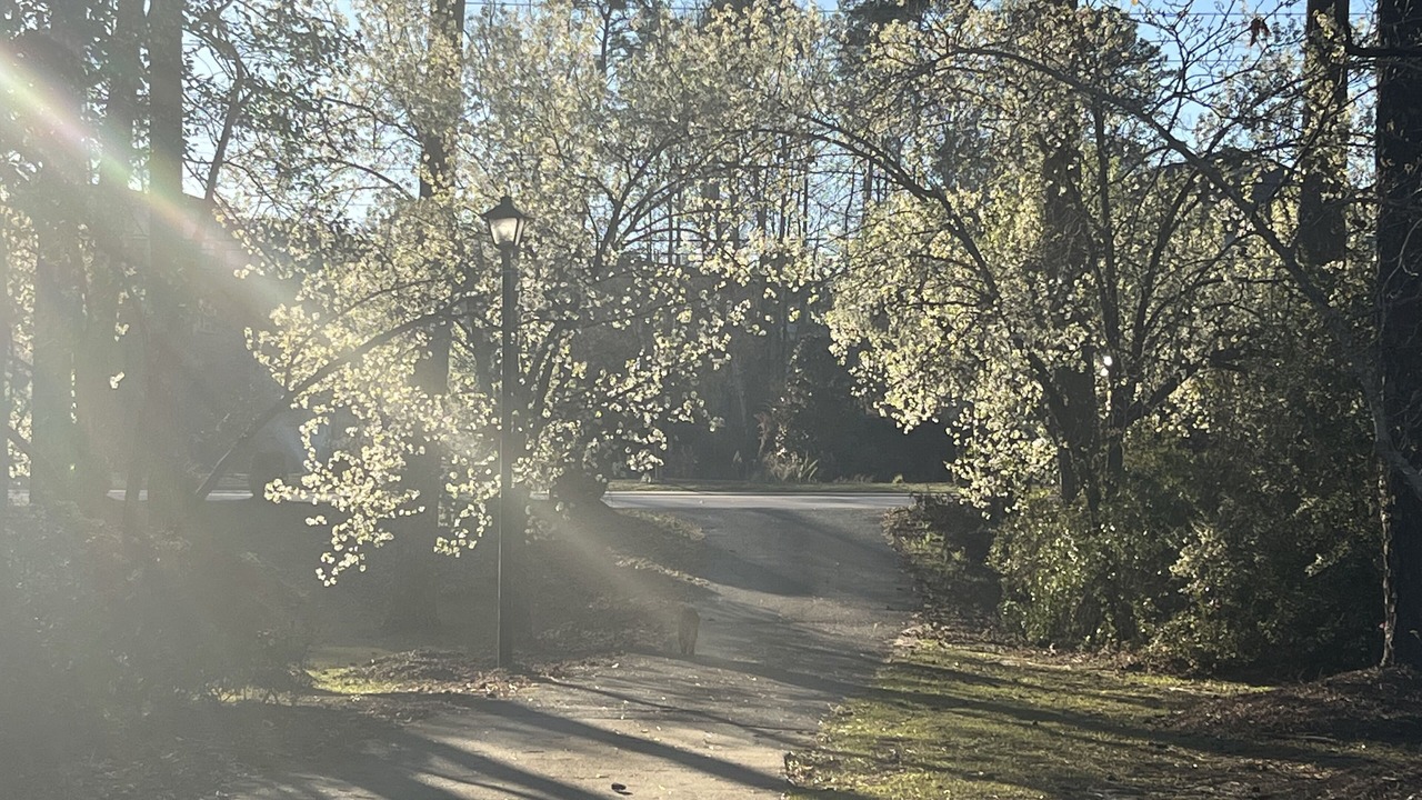 Photo of Outdoor in Forest Acres