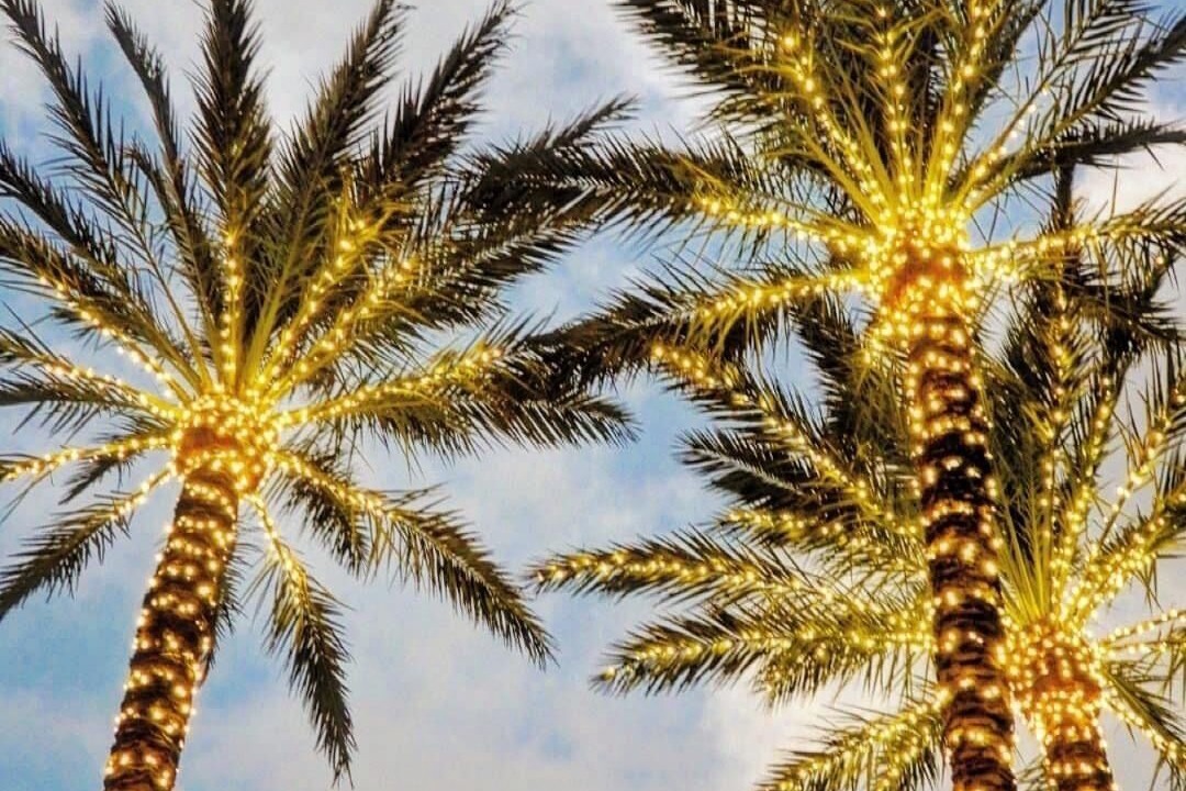 Photo of Outdoor in Naples