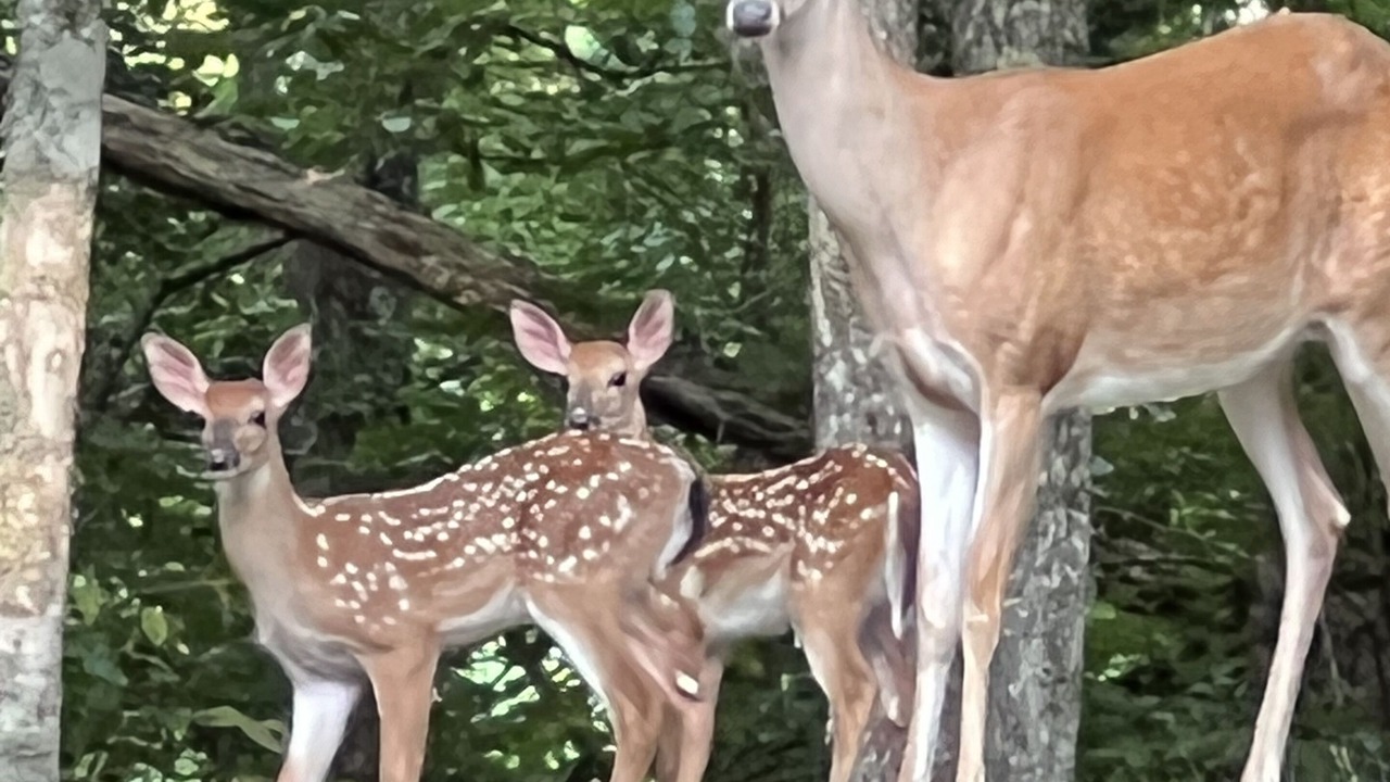 Photo of Others in Franklin