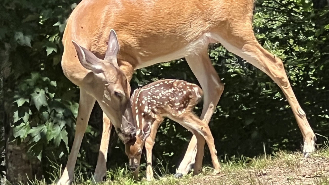 Photo of Others in Franklin
