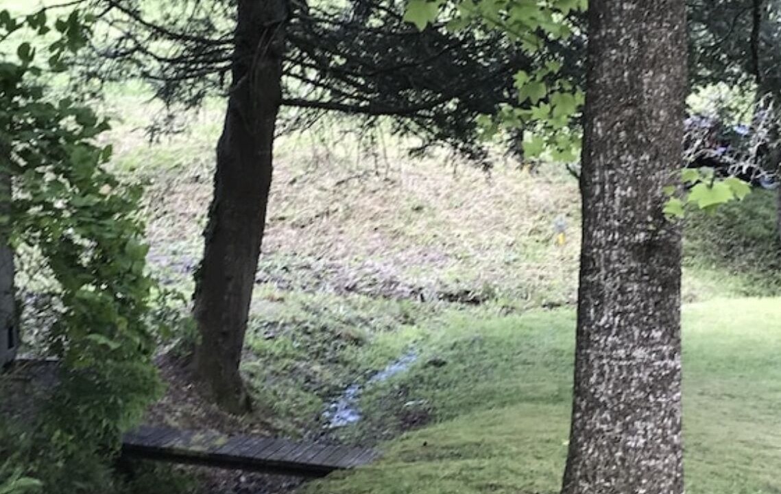Photo of Outdoor in Topton