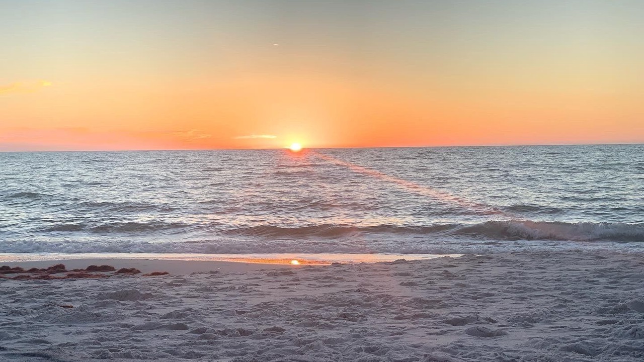 Photo of Others in East Naples