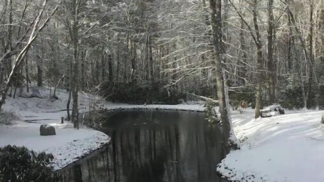 Photo of Others in Glenville