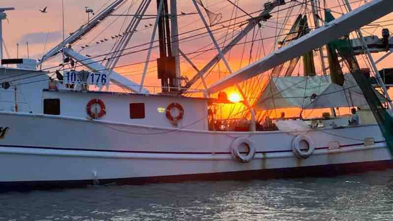 Photo of Others in Tybee Island