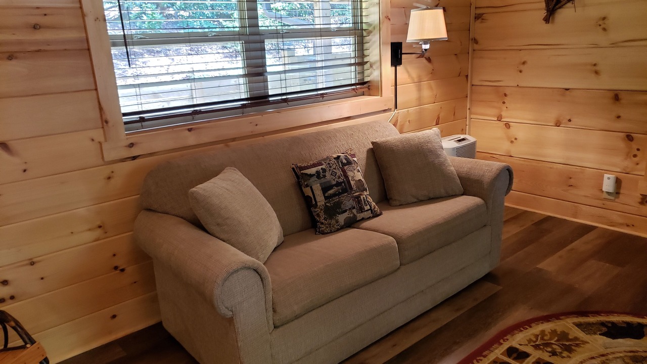 Photo of Livingroom in Pickens