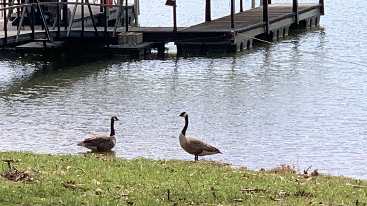Photo of Outdoor in Martin