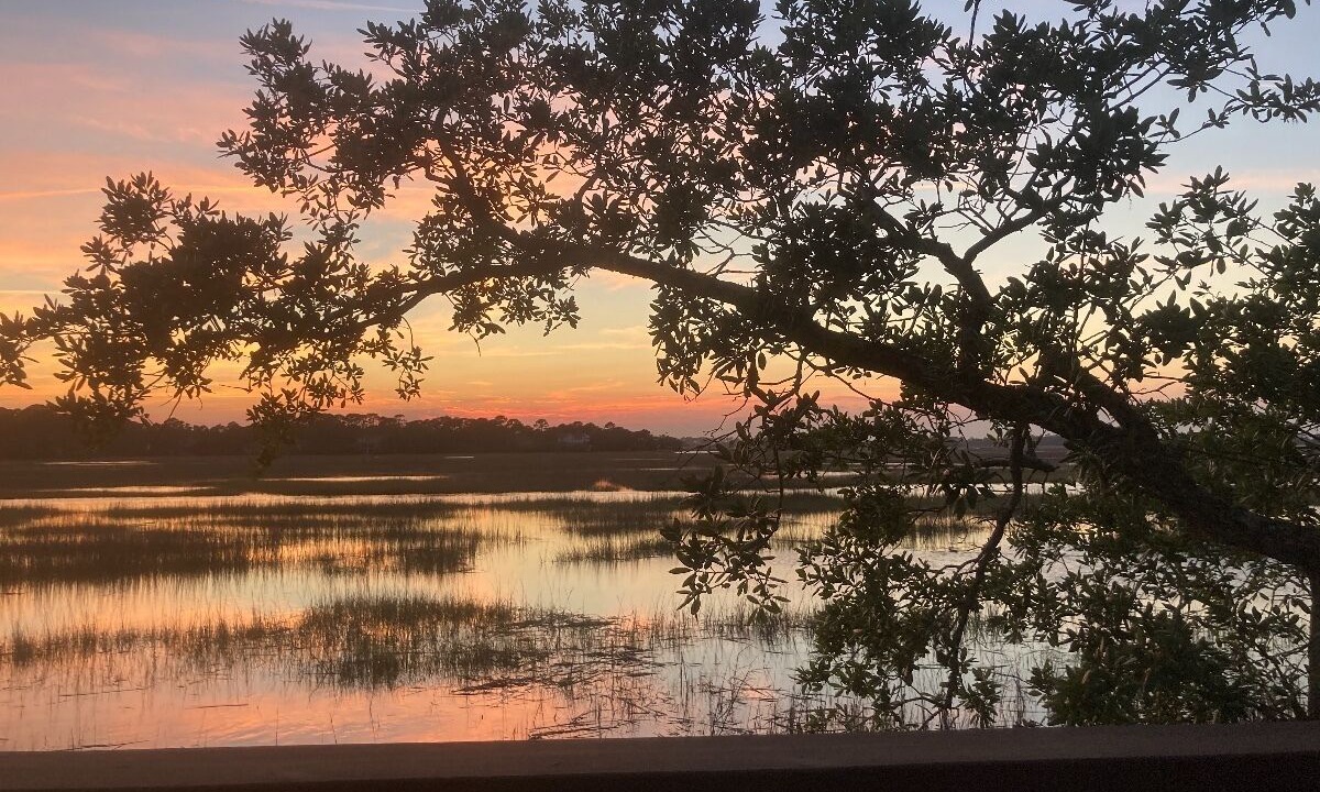Photo of Others in Saint Helena Island