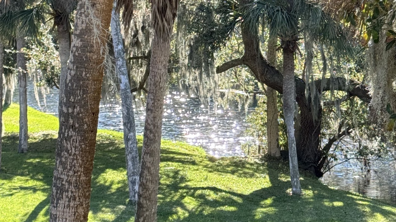 Photo of Others in Shipyard Plantation