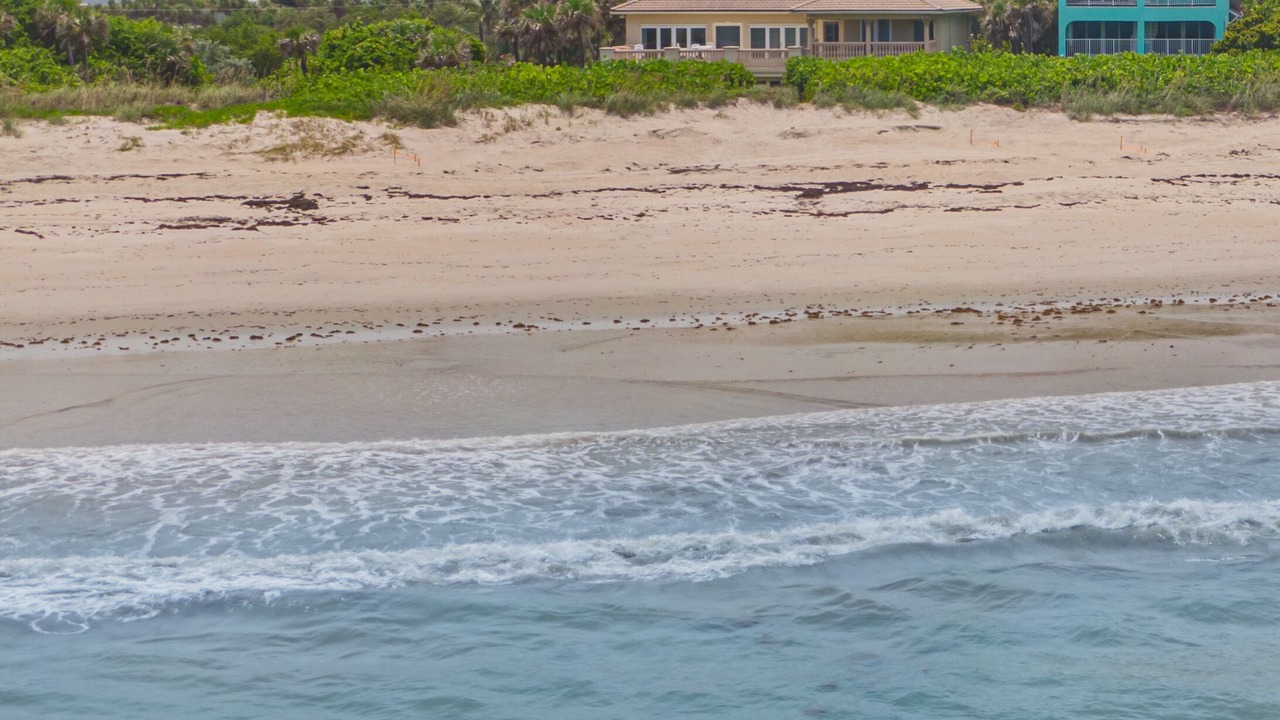 Photo of Others in Ambersand Beach