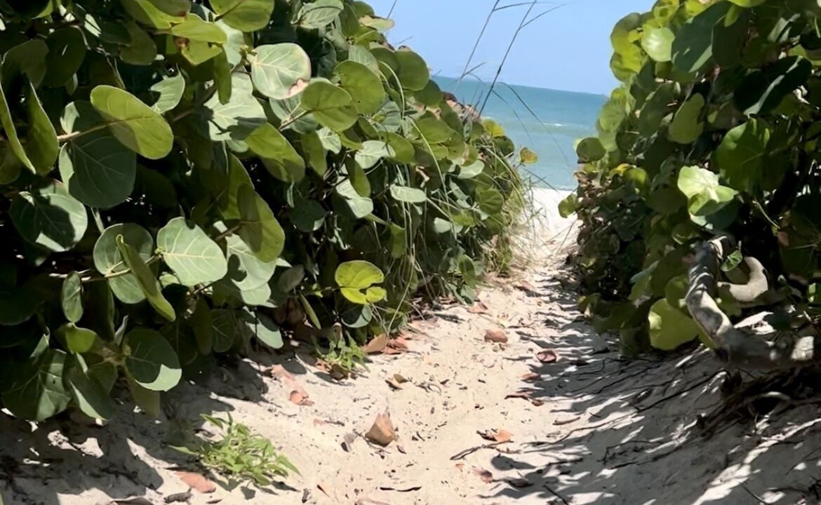 Photo of Others in Ambersand Beach