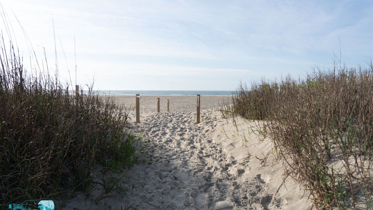 Photo of Others in The Point