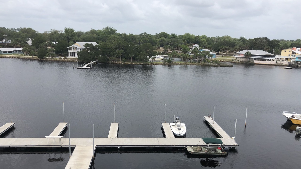 Photo of Outdoor in Steinhatchee