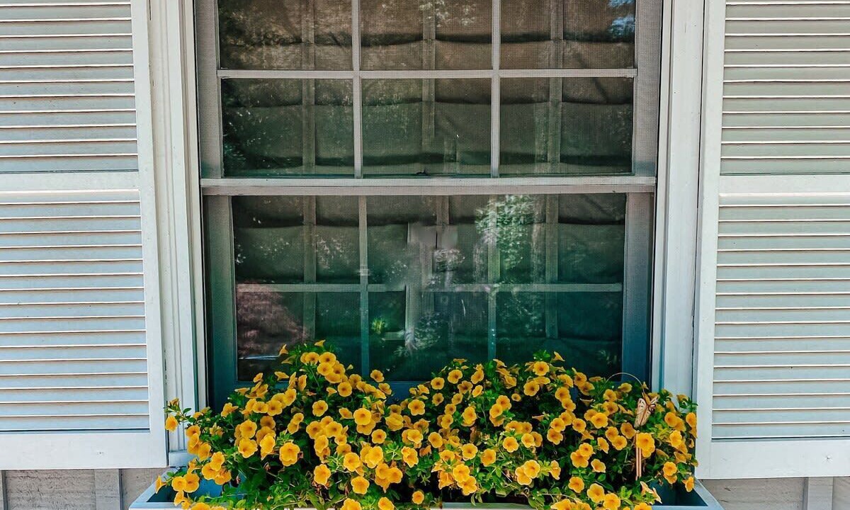 Photo of Outdoor in Highlands