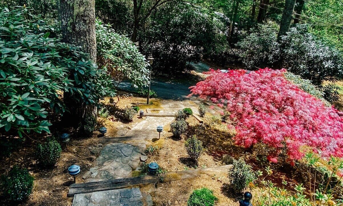 Photo of Outdoor in Highlands