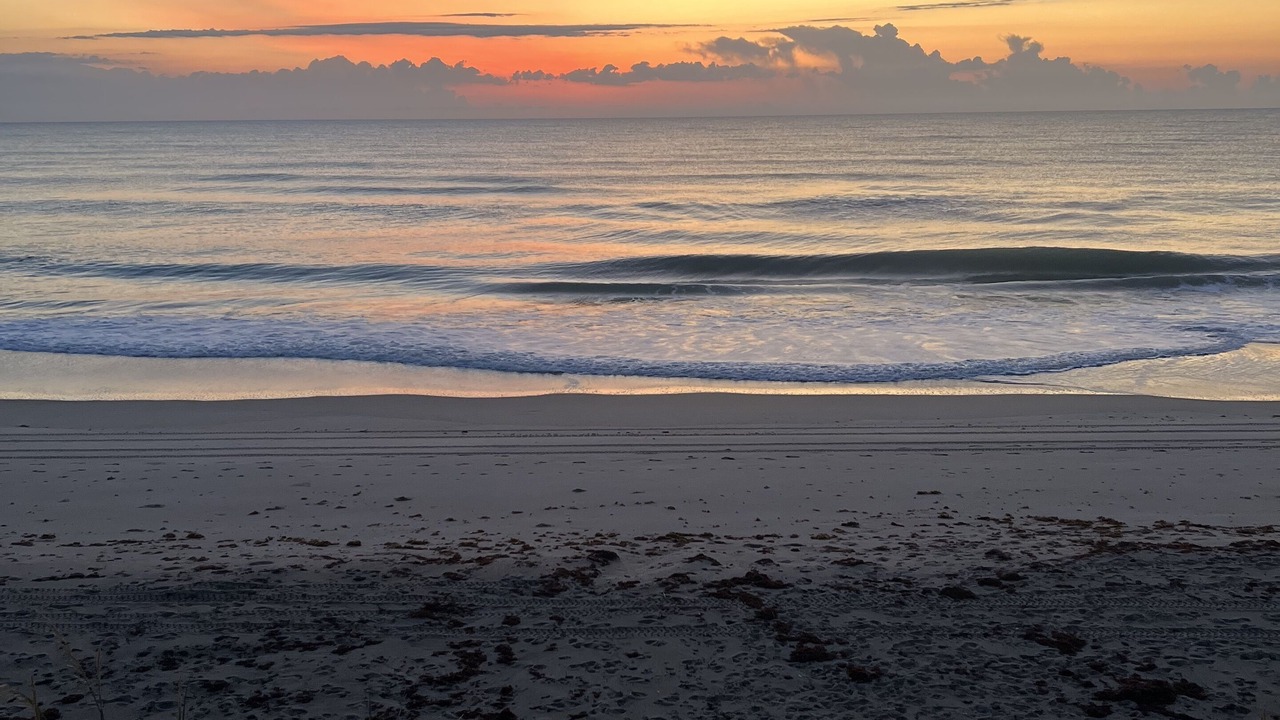 Photo of Others in Melbourne Beach
