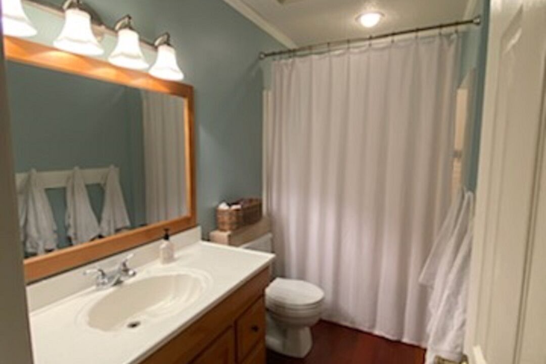 Photo of Bathroom in Chapin