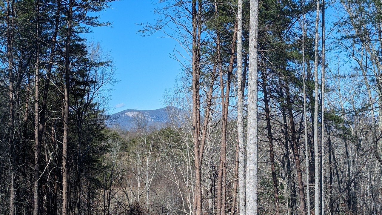 Photo of Outdoor in Pickens