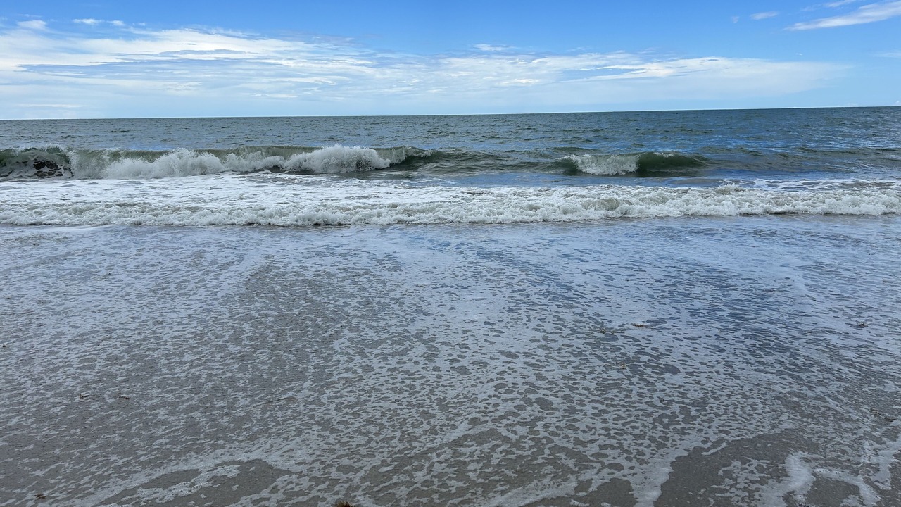 Photo of Others in Indian River Shores