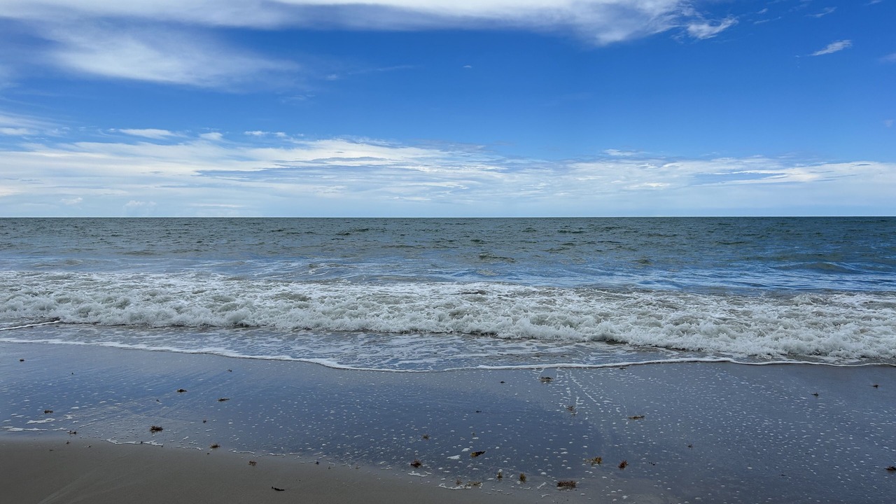 Photo of Others in Indian River Shores