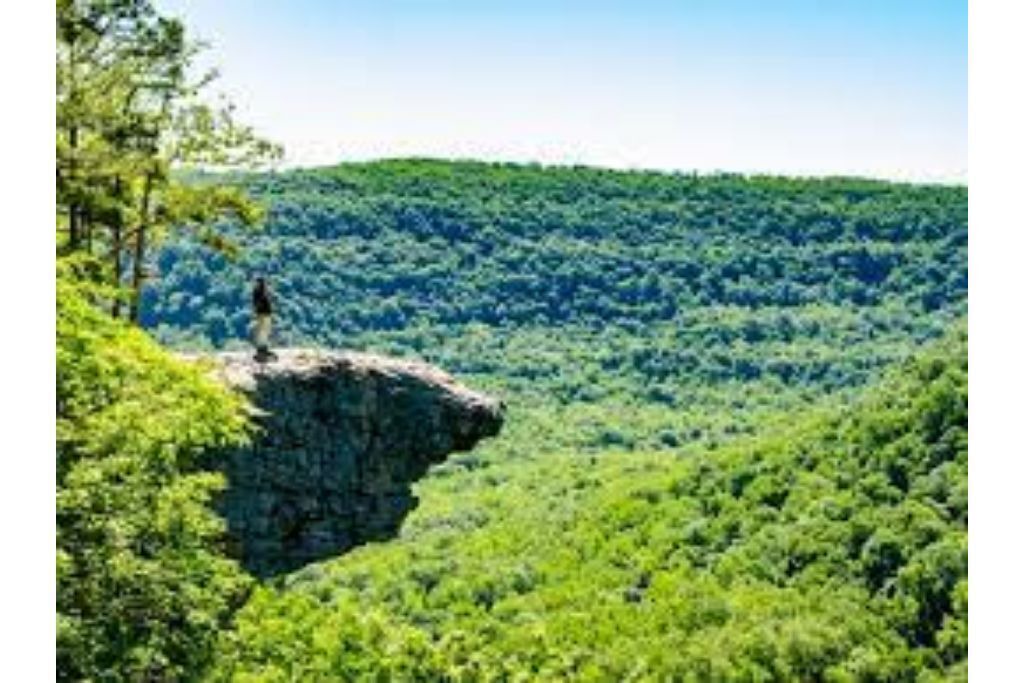 Photo of Outdoor in Huntcliff