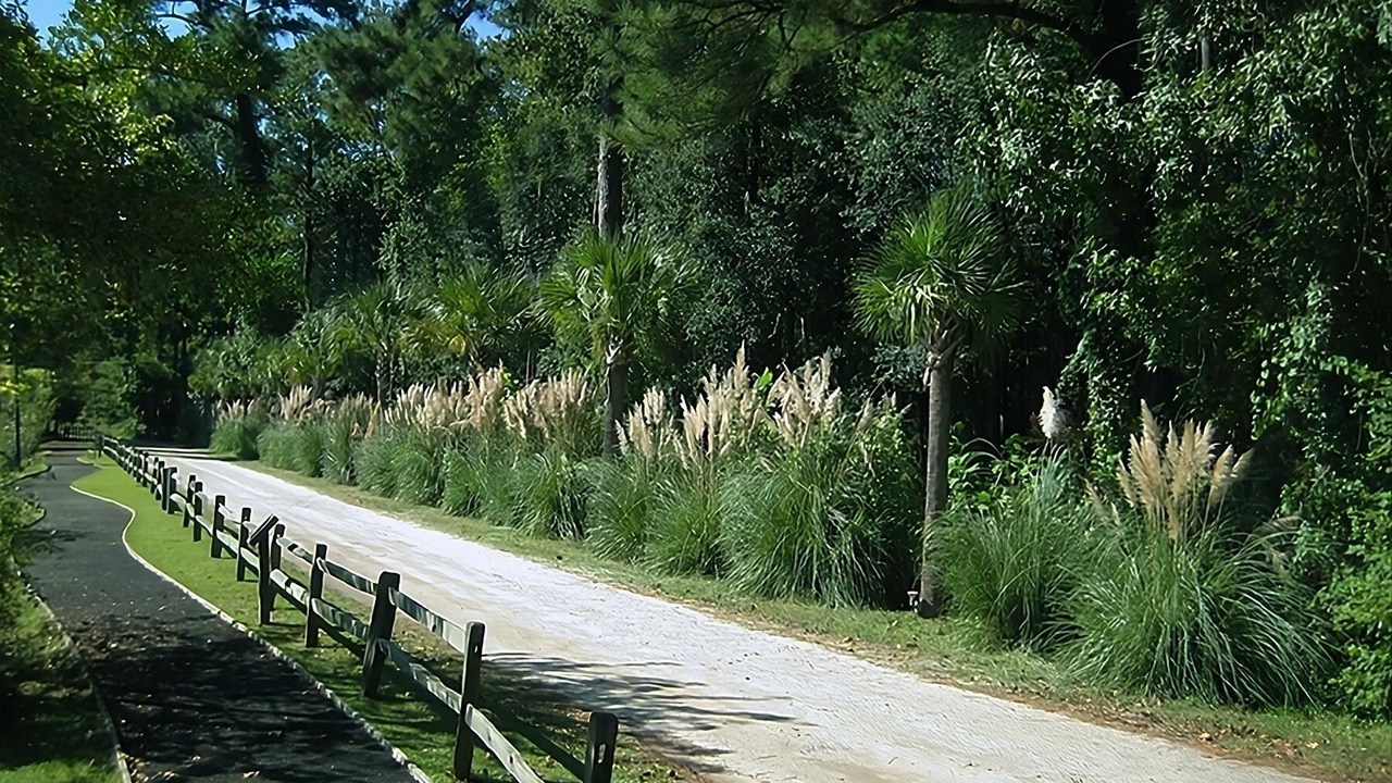 Photo of Others in Ridgeland