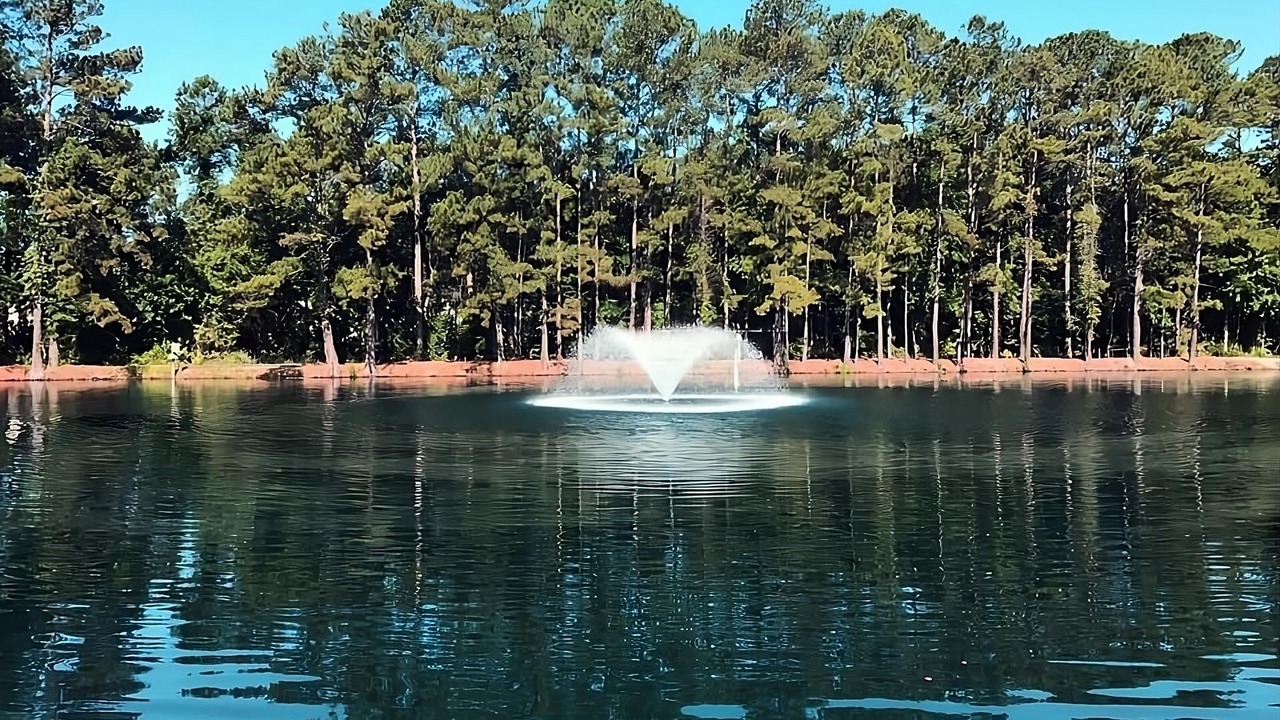 Photo of Others in Ridgeland