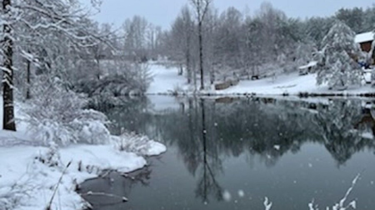 Photo of Others in Pickens