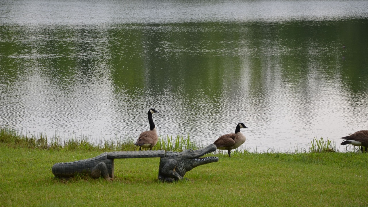 Photo of Others in Calhoun Falls