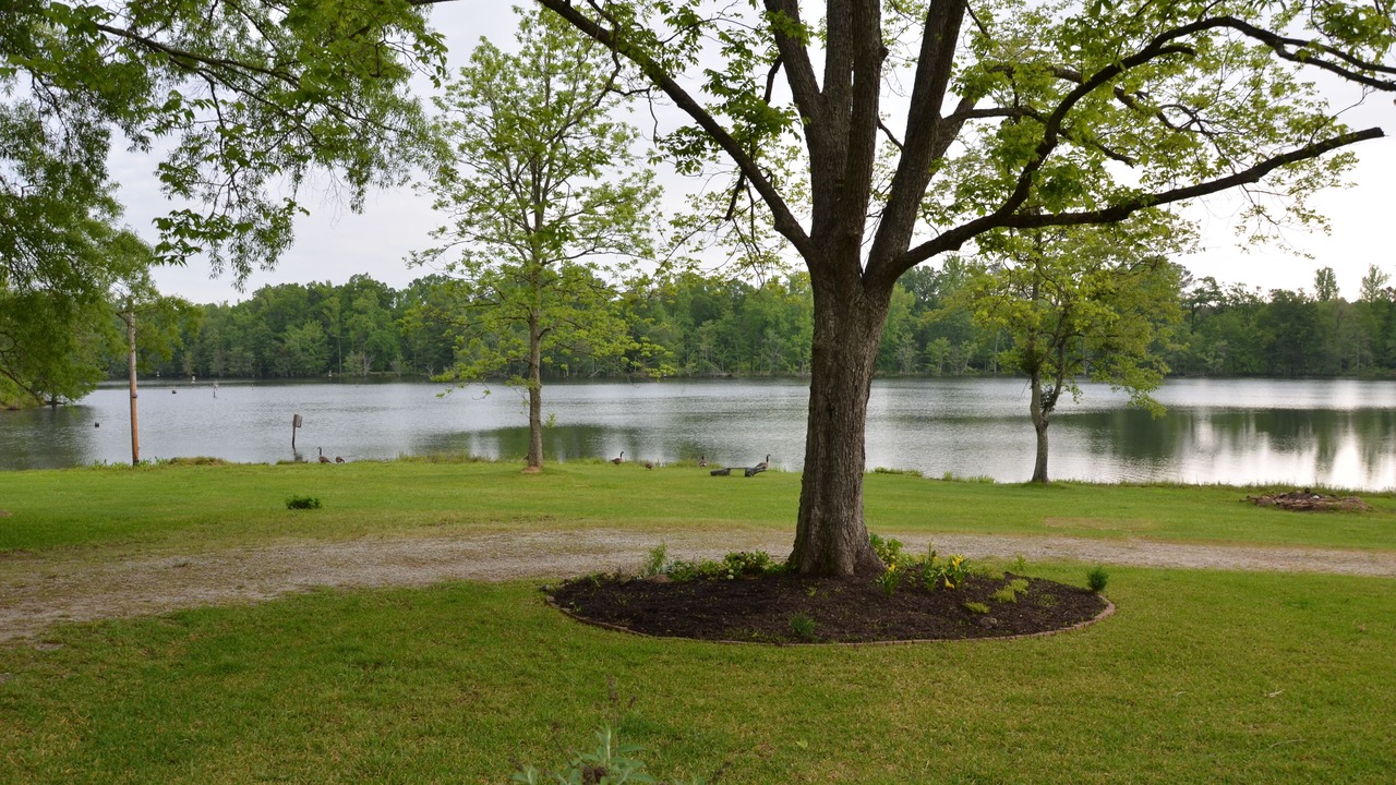Photo of Outdoor in Calhoun Falls