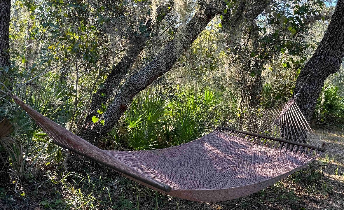 Photo of Others in Sebring