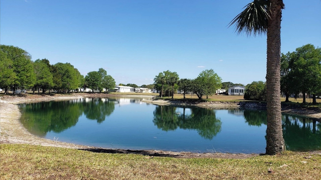 Photo of Outdoor in North Port