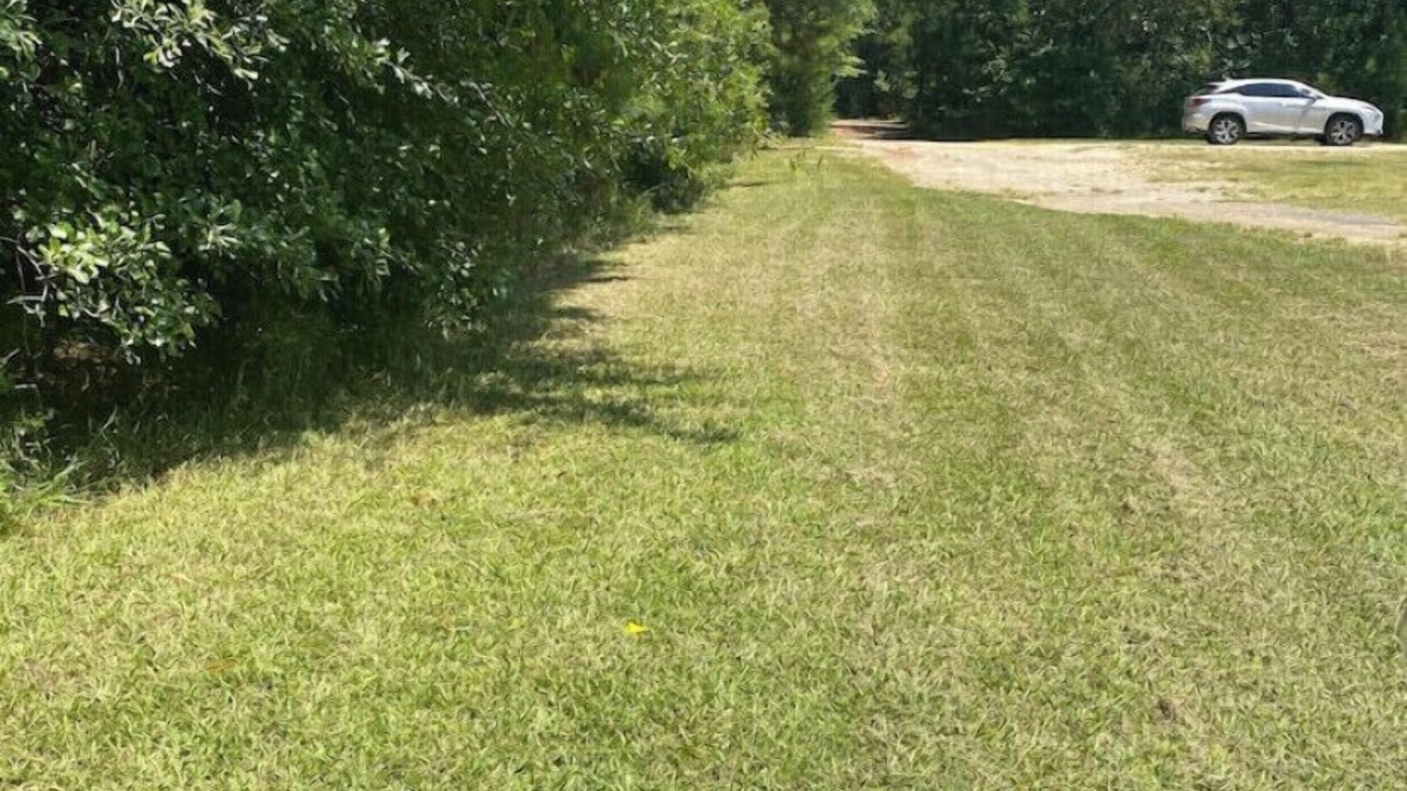Photo of Outdoor in Abbeville County