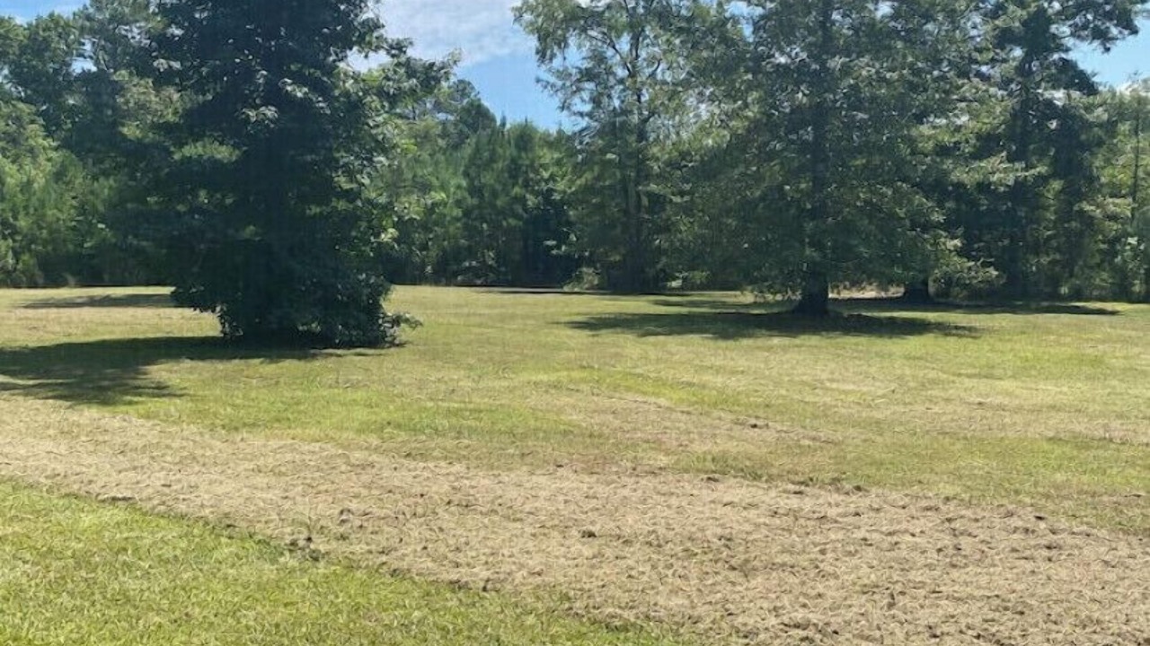 Photo of Others in Abbeville County