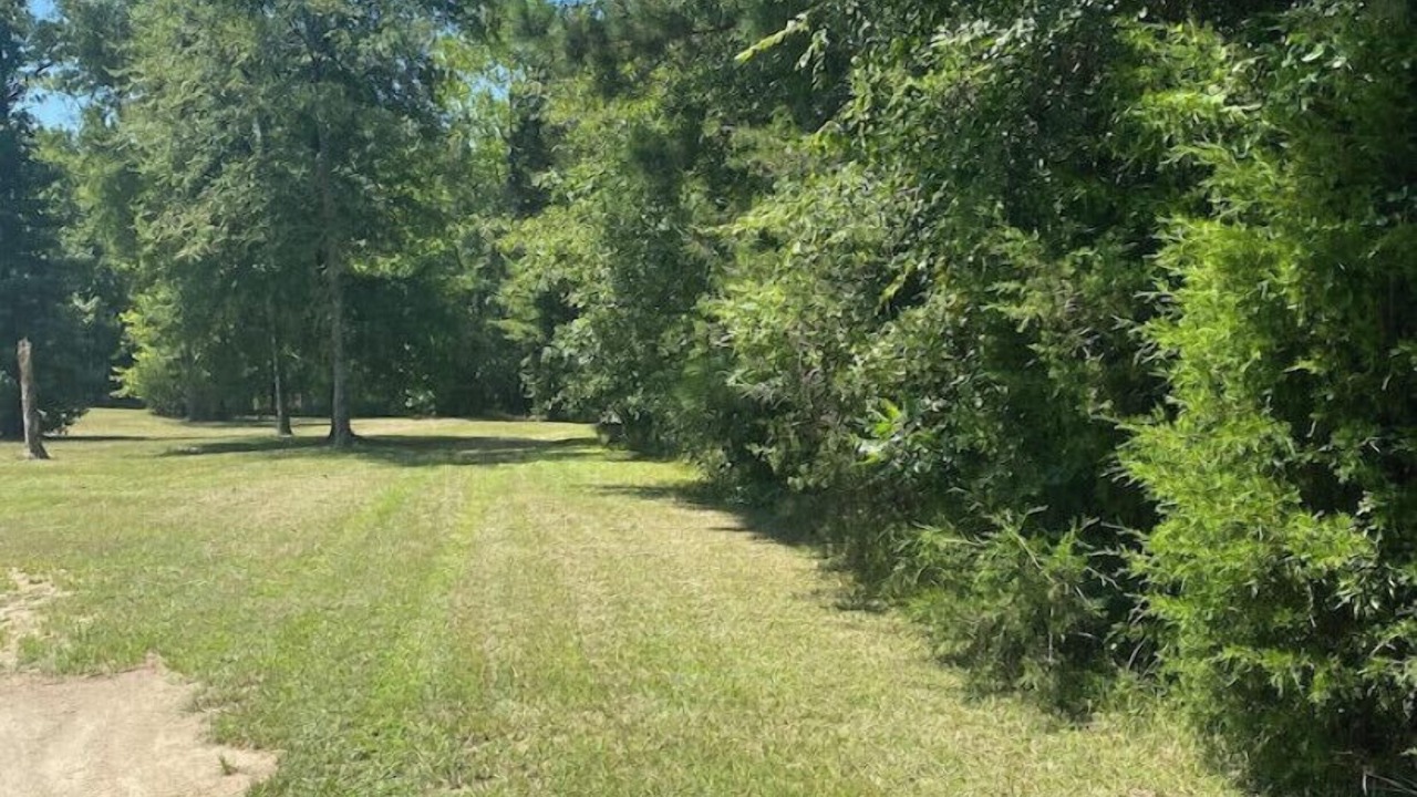 Photo of Outdoor in Abbeville County