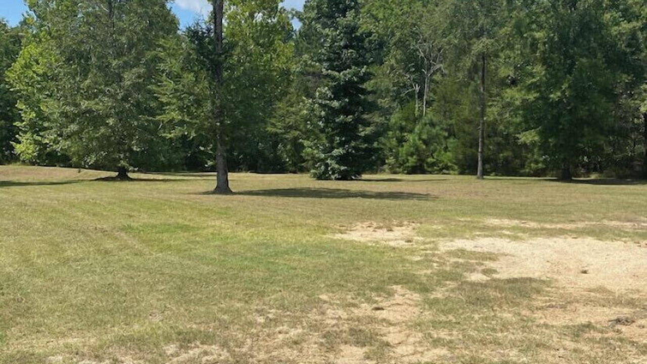 Photo of Others in Abbeville County