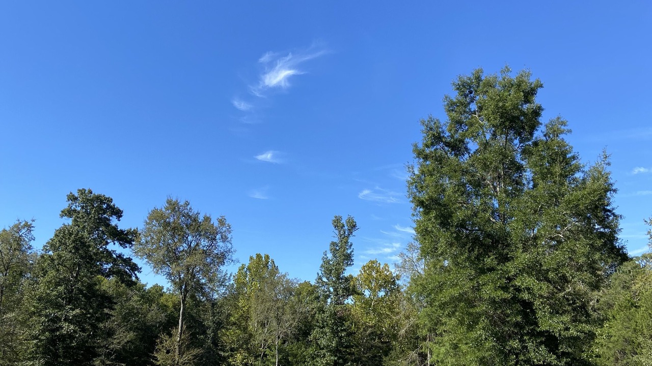 Photo of Others in Abbeville County