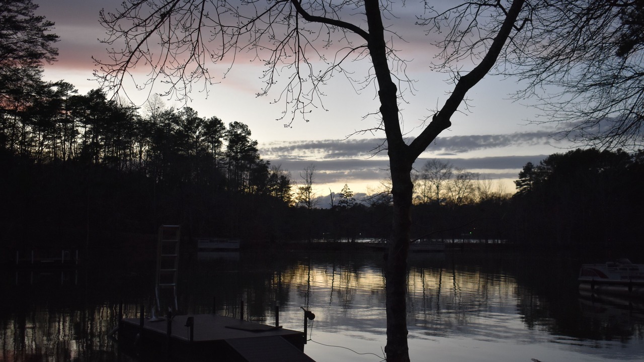 Photo of Outdoor in Martin