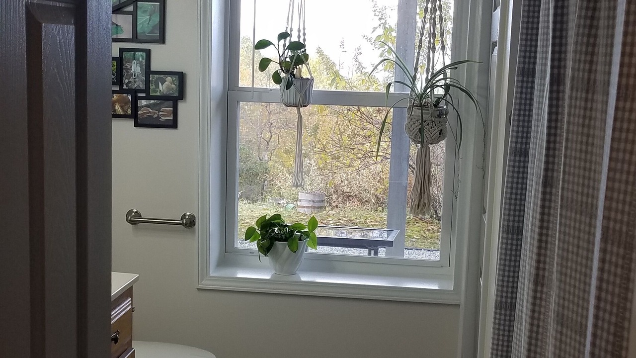 Photo of Bathroom in Rosman