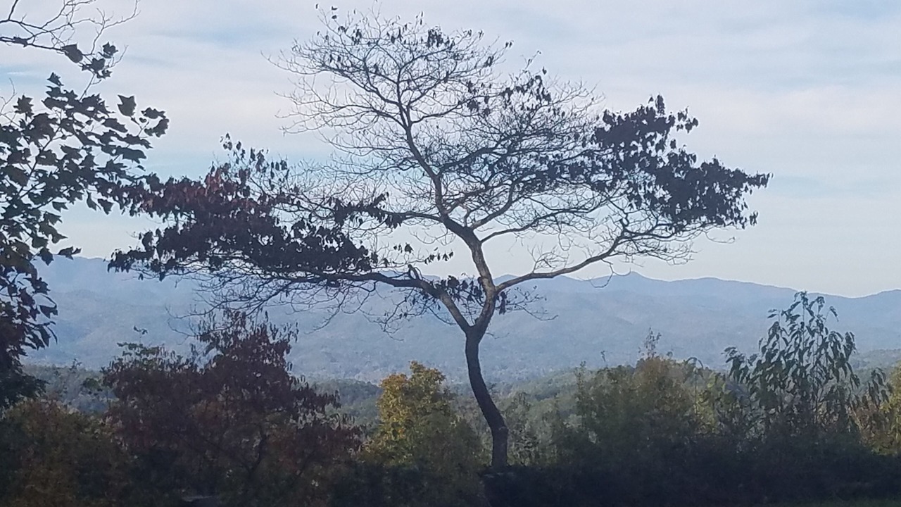 Photo of Others in Rosman