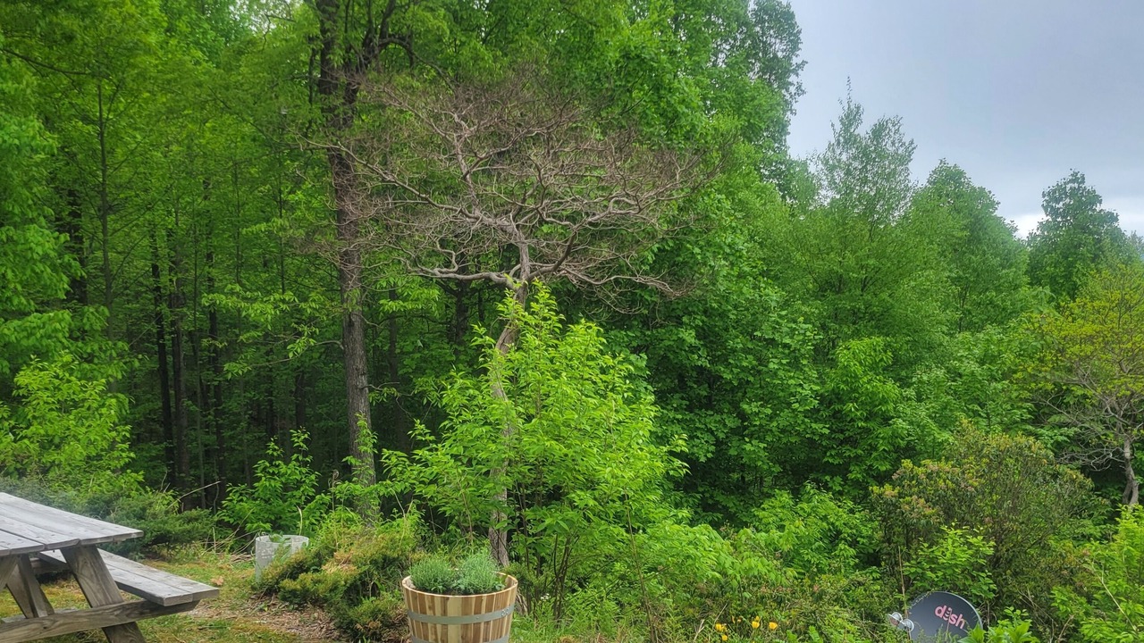 Photo of Outdoor in Rosman
