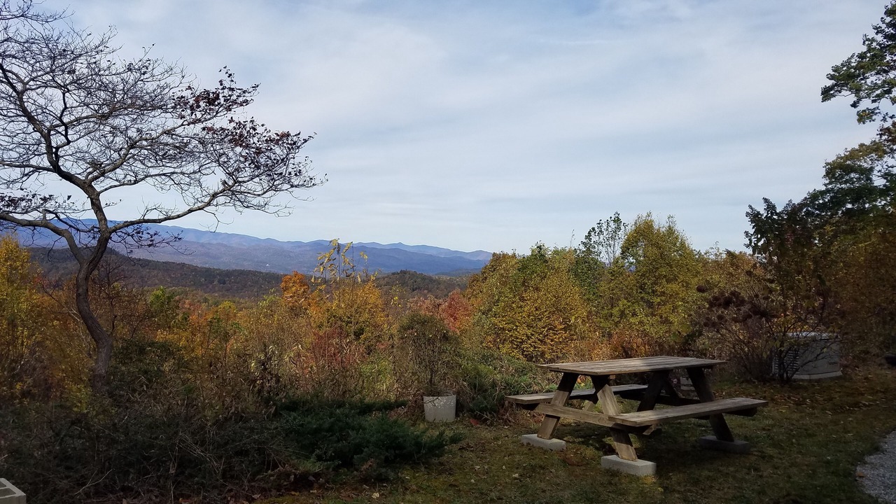 Photo of Others in Rosman