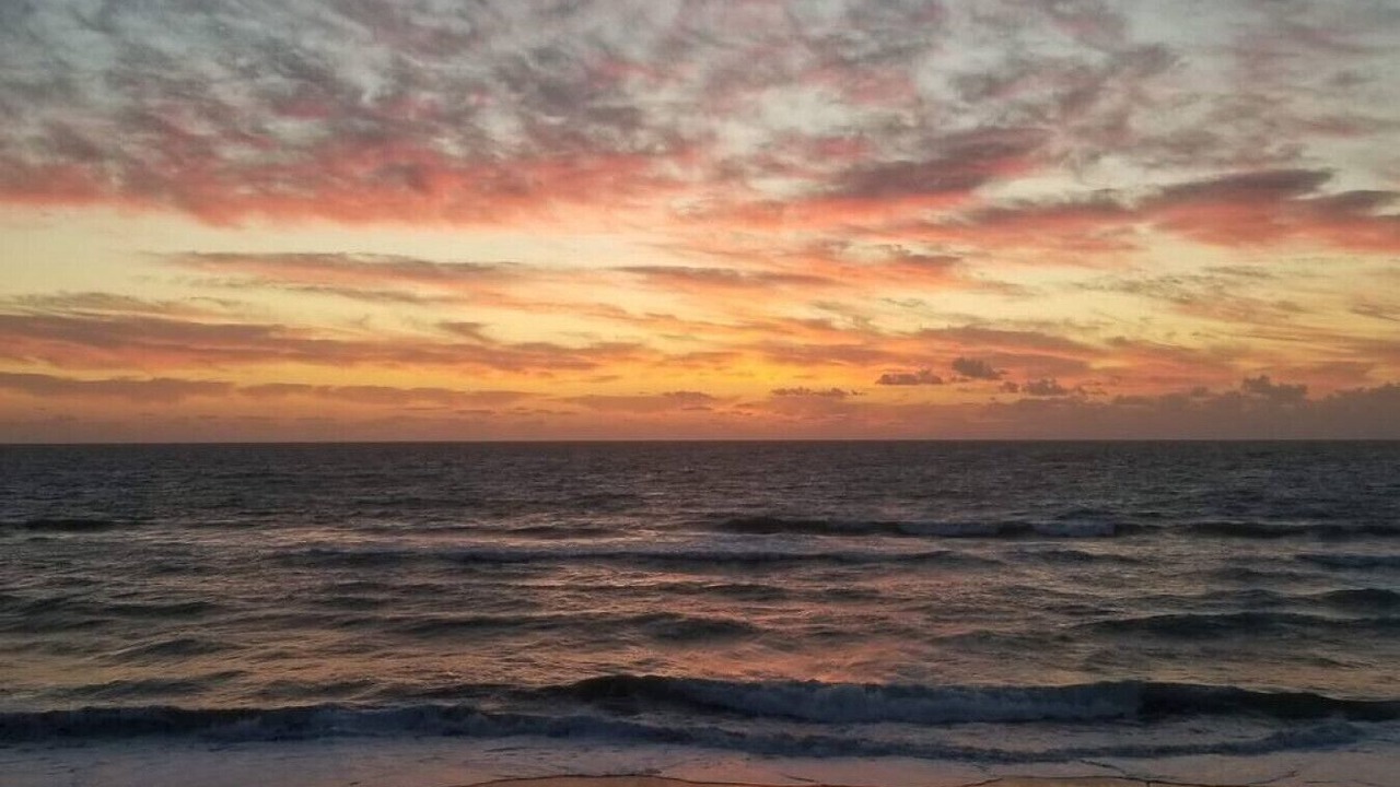Photo of Others in Floridana Beach