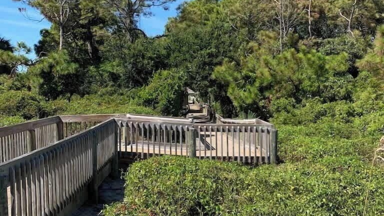 Photo of Outdoor in Folly Field