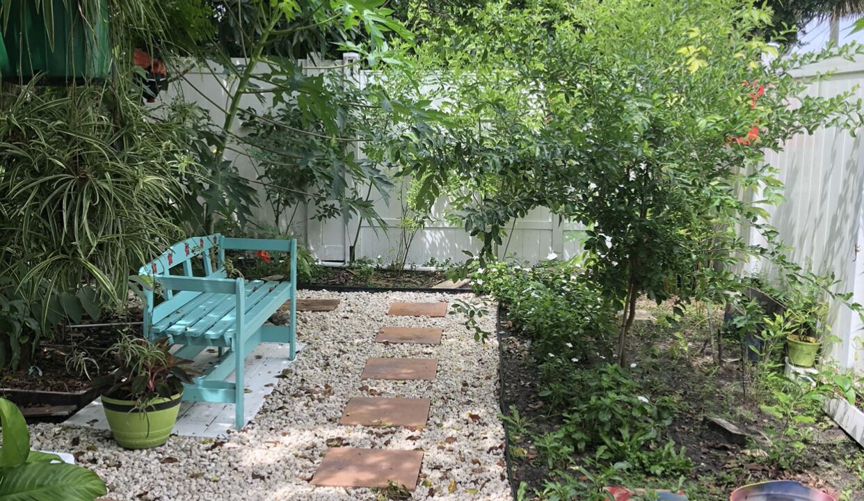Photo of Outdoor in Orlando